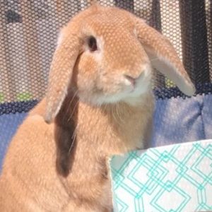 Meet your Posher, Emma